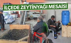 Çiftçilerin zeytinyağı mesaisi sürüyor