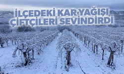 Kar yağışı çiftçileri sevindirdi