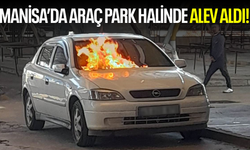 Park halindeki araç alev alıp yandı