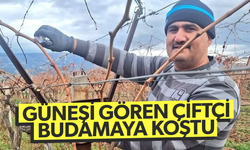 Güneşi gören çiftçi bağını budamaya koştu