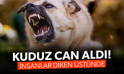 Türkiye’de kuduz can aldı... İnsanlar diken üstünde!