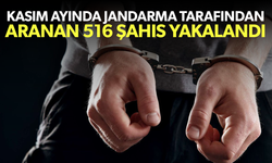 Kasım ayında jandarma tarafından aranan 516 şahıs yakalandı