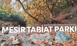 Mesir Tabiat Parkı'nda eşsiz manzaralar