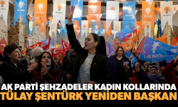 AK Parti Şehzadeler Kadın Kollarında Tülay Şentürk yeniden başkan