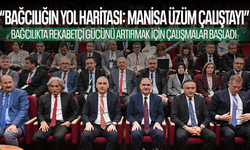 Manisa'da "Bağcılığın Yol Haritası: Manisa Üzüm Çalıştayı" düzenlendi