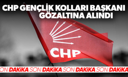 CHP Gençlik Kolları Başkanı gözaltına alındı