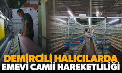 Demircili halıcılar Emevi Camii için harekete geçti