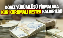 Merkez Bankası döviz yükümlülüğü olan firmalara Kur Korumalı Mevduat desteğini kaldırdı!