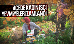 Sarıgöl’de kadın işçi yevmiyeleri 100 TL zamlandı