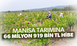 Manisa tarımına toplam 66 milyon 919 bin TL hibe