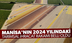 Manisa'nın 2024 yılındaki tarımsal ihracat rakamı belli oldu