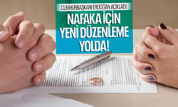 Nafaka için yeni düzenleme yolda...