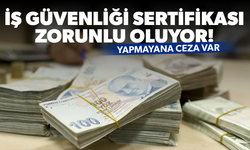 İş güvenliği sertifikası zorunlu oluyor! Yapmayana ceza var…