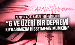 AFAD'ın açıklaması tedirgin etti! '6 ve üzeri bir depremi kıyılarımızda hissetmemiz mümkün'