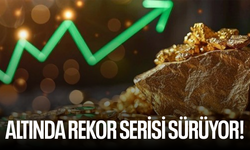 Altında rekor serisi sürüyor!