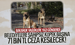 Belediyelere sahipsiz köpek başına 71 bin TL ceza kesilecek!