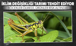 İklim değişikliği tarımı tehdit ediyor!