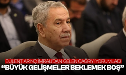 Bülent Arınç, İmralı'dan gelen çağrıyı değerlendirdi