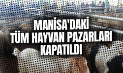 Manisa'daki tüm hayvan pazarları kapatıldı