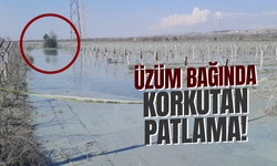 Üzüm bağında korkutan patlama!