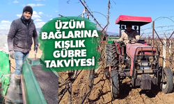 Üzüm bağlarına kışlık gübre takviyesi