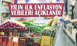 Yılın ilk enflasyon verileri açıklandı