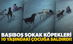 Sivas'ta 10 yaşındaki çocuğa köpekler saldırdı