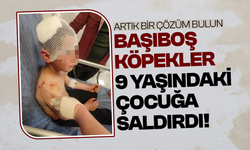 Başıboş köpekler 9 yaşındaki çocuğa saldırdı!