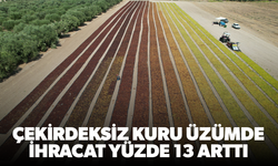 Çekirdeksiz kuru üzümde ihracat yüzde 13 arttı