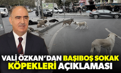 Manisa Valisi Özkan’dan sahipsiz köpeklere ilişkin açıklama!