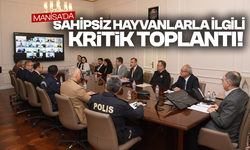 Sahipsiz hayvanlarla ilgili kritik toplantı!