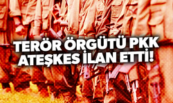 Terör örgütü PKK ateşkes ilan etti