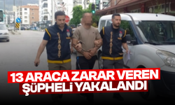 13 araca zarar veren şüpheli yakalandı