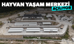 Hayvan Yaşam Merkezi açılıyor
