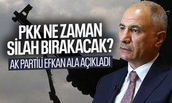PKK ne zaman silah bırakacak? AK Partili Efkan Ala açıkladı