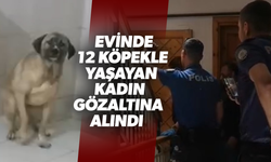 Turgutlu’da evinde 12 köpekle yaşayan kadın gözaltına alındı