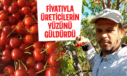 Fiyatıyla üreticilerin yüzünü güldürdü