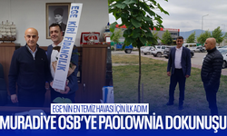 Muradiye OSB’ye Paolownia dokunuşu