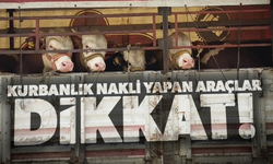 Salihli’de kurbanlık nakli yapan araçlara sıkı denetim