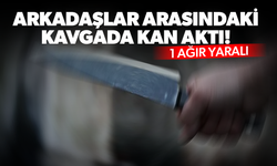 Arkadaşlar arasındaki kavgada kan aktı! 1 ağır yaralı