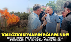 Vali Özkan yangın bölgesindeki son durumu açıkladı