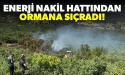 Enerji nakil hattından ormana sıçrayan yangın kontrol altına alındı