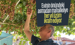 Evin önündeki asmadan mahalleye üzüm ikramı