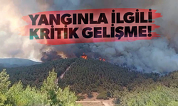 Foça'daki yangın kontrol altında! Soğutma çalışmaları başladı