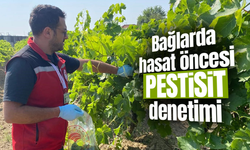 Hasat öncesi pestisit denetimi