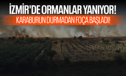 İzmir'de orman yangını! Karaburun durmadan Foça başladı!