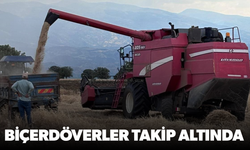 Manisa'da biçerdöverler takip altında