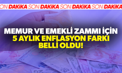 Memur ve emekli zammı için 5 aylık enflasyon farkı belli oldu!