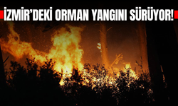 İzmir'deki orman yangını ikinci gününde sürüyor!
