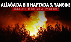 Aliağa'da aynı haftada 3. yangın!